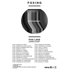 Foxing [US] + Fog Lake [CAN]
