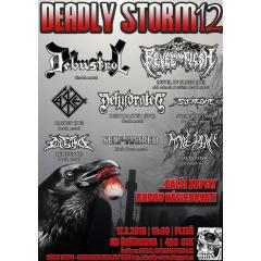 Deadly STORM Festival 12