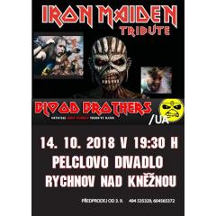 IRON MAIDEN TRIBUTE / BLOOD BROTHERS (UA)
