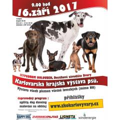 Karlovarská výstava psů 2017