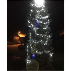 Rozsvícení vánočního stromku 2017