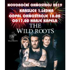Novoroční ohňostroj a koncert The Wild Roots