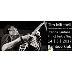 TIM Mitchell BAND (rhythm/blues, USA, DE, UK)