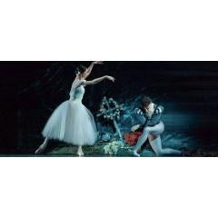 St.Petersburg Festival Ballet «Giselle»