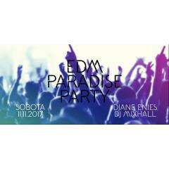 EDM Paradise párty