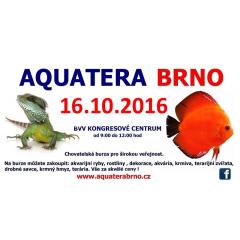 Aquatera Brno