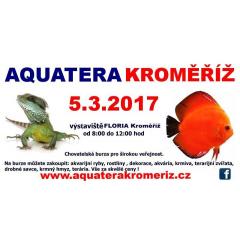 Aquatera 2017