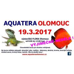 Aquatera Olomouc 2017