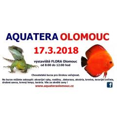 Aquatera Olomouc 2018