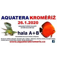 Aquatera Kroměříž 2020