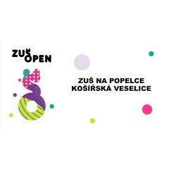 ZUŠ Open 2017 - Košířská veselice na Klamovce