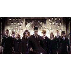 Tábor Harry Potter a Fénixův řád