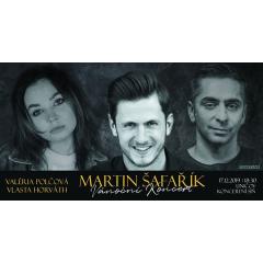 Martin Šafařík - Vánoční Koncert