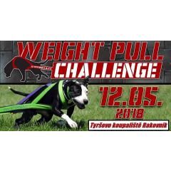 Weight pull challenge 2018