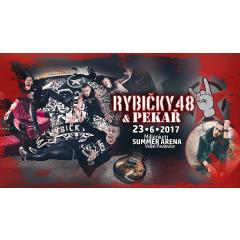 Koncert Pekař & Rybičky 48