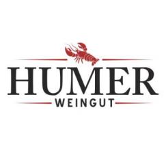 Řízená degustace vinařství Humer Weingut 