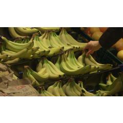 Promítání filmu Cenová válka o banány: Příliš laciná rozhodnutí