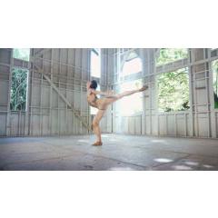 Dancer / Steven Cantor