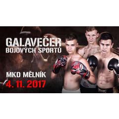 Galavečer bojových sportů Mělník 2017