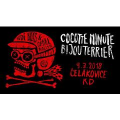 Cocotte Minute + Bijouterrier