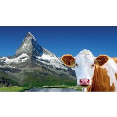 Švýcarsko - velká cesta srdcem Alp - Martin Loew