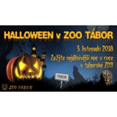 Halloween v ZOO 2018
