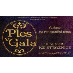 Ples v Gala 2019 „Variace na renesanční téma"
