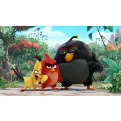Letní kino Milevsko 2017 - Angry Birds