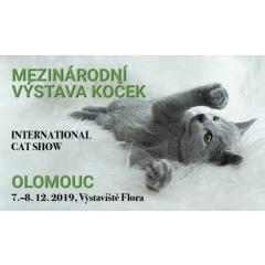 Mezinárodní výstava koček 2019