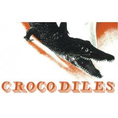 Crocodiles (US)