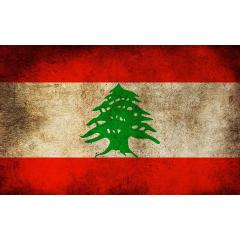 Grilování v libanonském stylu
