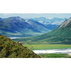 Aljaška a Yukon – tři měsíce v divočině (M. Lipina a O. Kubát)