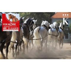 Národní hřebčín na veletrhu For Horse 2018