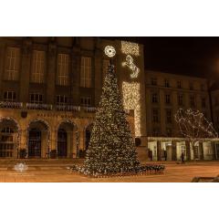 Rozsvícení vánočního stromu na Prokešově náměstí