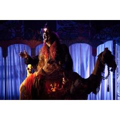 Divadlo bří Formanů - Aladin