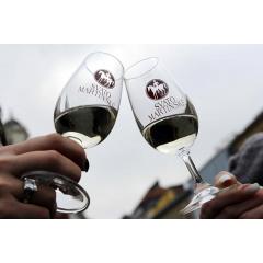 Svatomartinské hody a slavnost mladého vína ve Vinotéce Sýpka