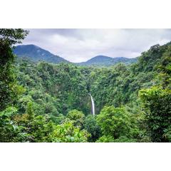 Kostarika - perla střední Ameriky plná pralesů a divokých zvířat