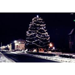 Slavnostní rozsvícení vánočního stromu Mladé Buky