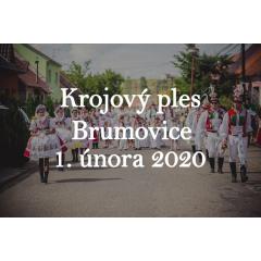 Krojový ples Brumovice 2020