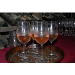 Řízená degustace vín - Rosé vína
