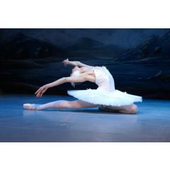 Balet “Labutí jezero”