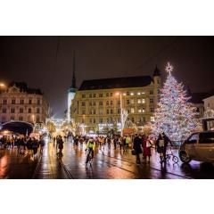 Slavnostní rozsvícení vánočního stromku v Brně 2019