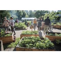 Festival městského pěstování a kompostování 2020