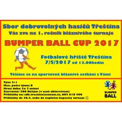 Bumper Ball Cup 2017