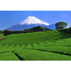 Degustace japonských čajů a japonských dezertů