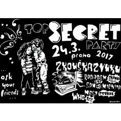 Top Secret Party