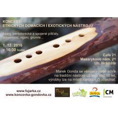 Koncert etnických domácích i exotických hudebních nástrojů