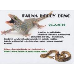 Fauna hobby Brno – terarijní trhy 24 únor 2019