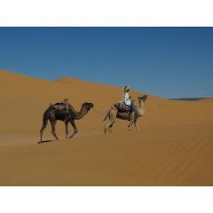 Maroko - Za Berbery na kole