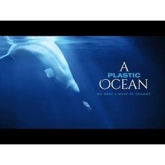 KINO: Promítání filmu A Plastic Ocean (Plastový oceán)